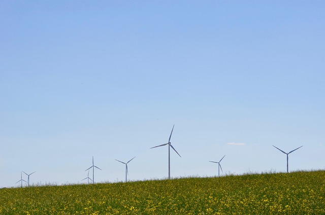 Wind Power Today: Innovations That Are Shaping Tomorrow
